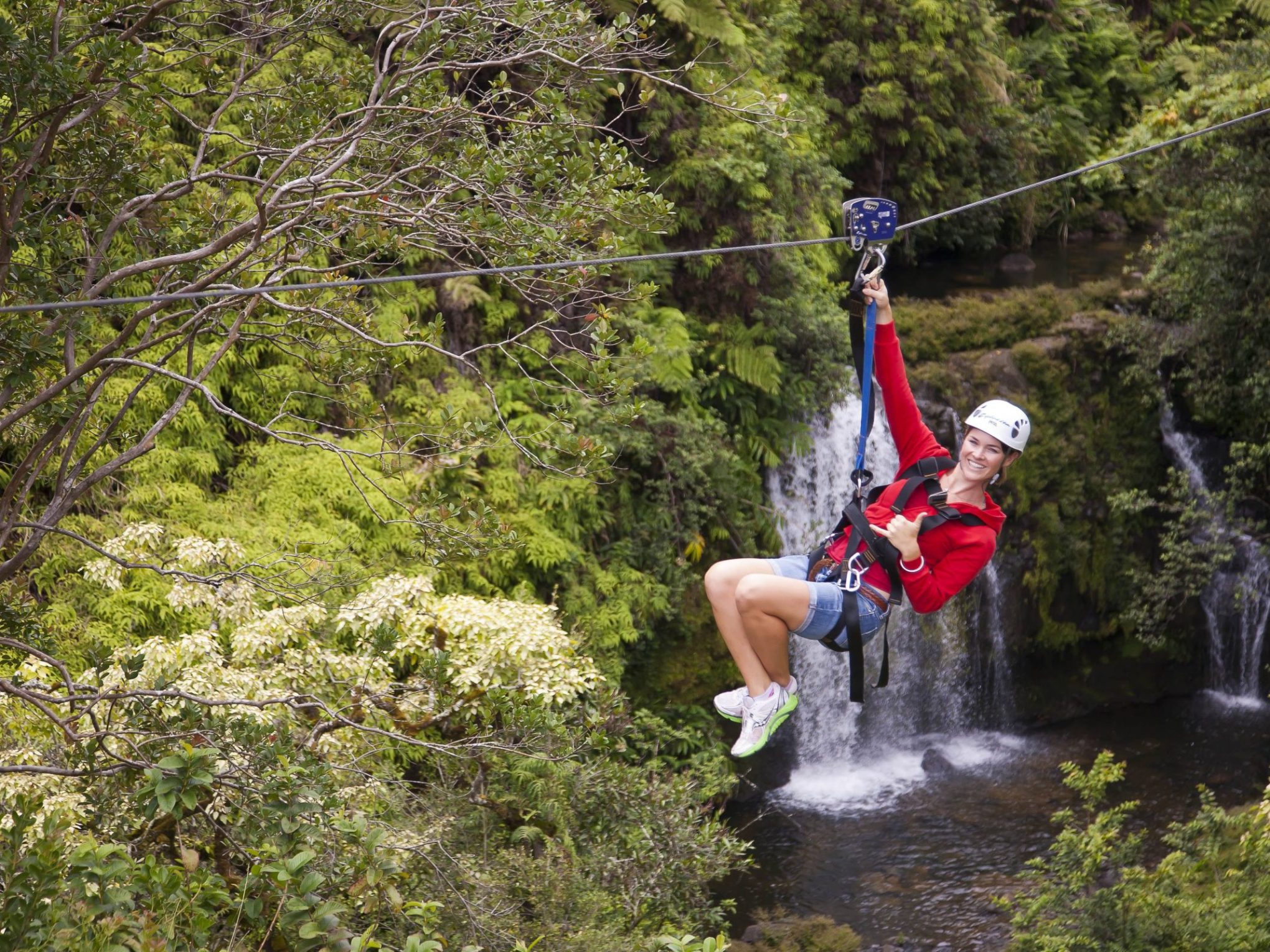 a man riding on top of a tree